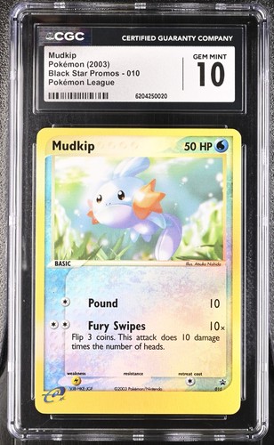 Pokemon mudkip 010 reverse - mudkip,