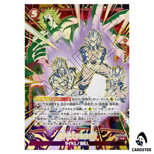 Family kamehameha st01 015 - family, r