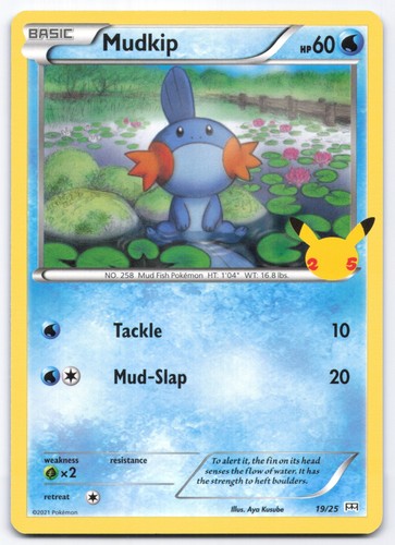 Carta pokemon promozionale - carta,